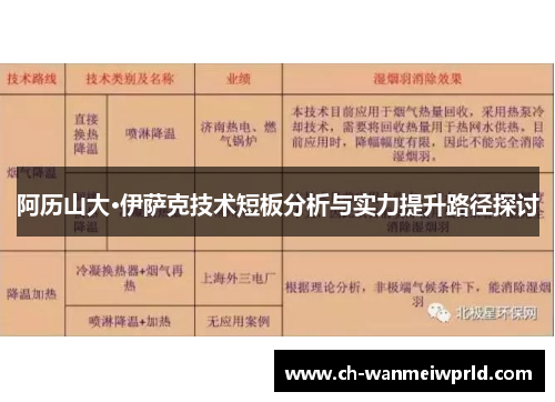 阿历山大·伊萨克技术短板分析与实力提升路径探讨